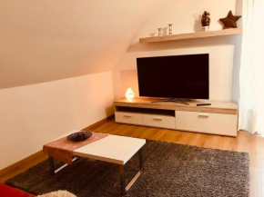 Großes 1-Zimmer Wohlfühl-Appartement